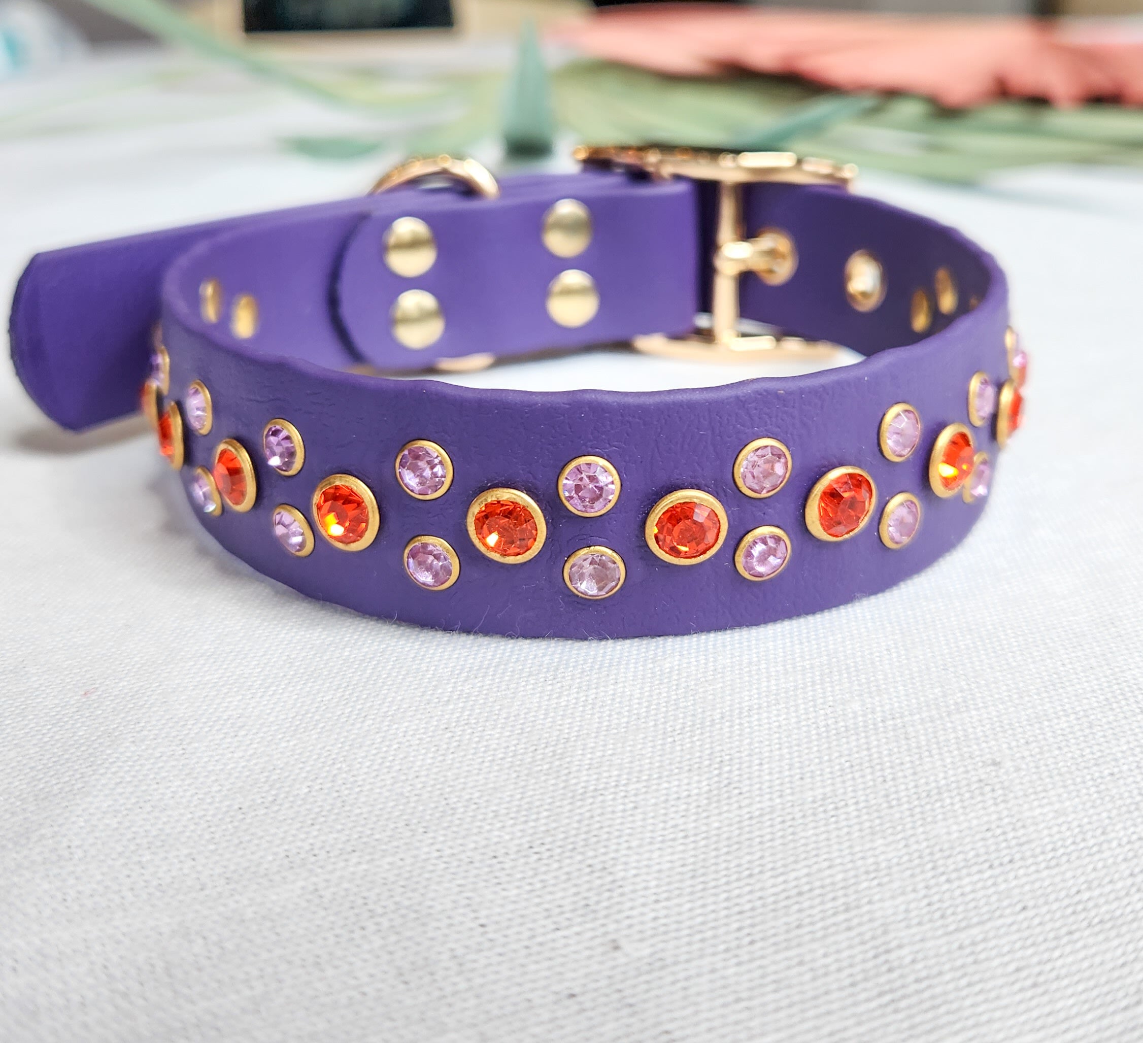 Purple studded dog store collar