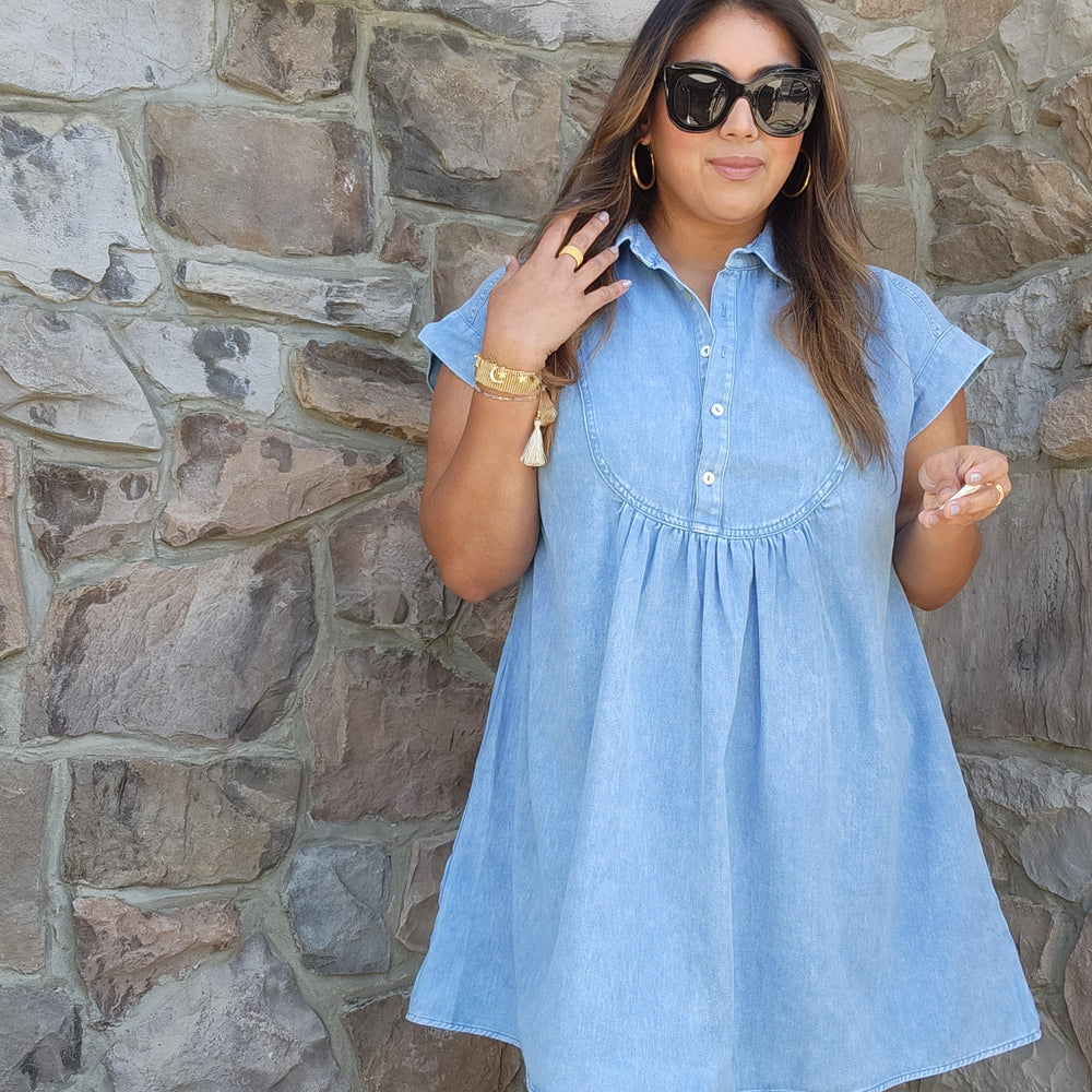 
                      
                        Eliana Denim Dress
                      
                    