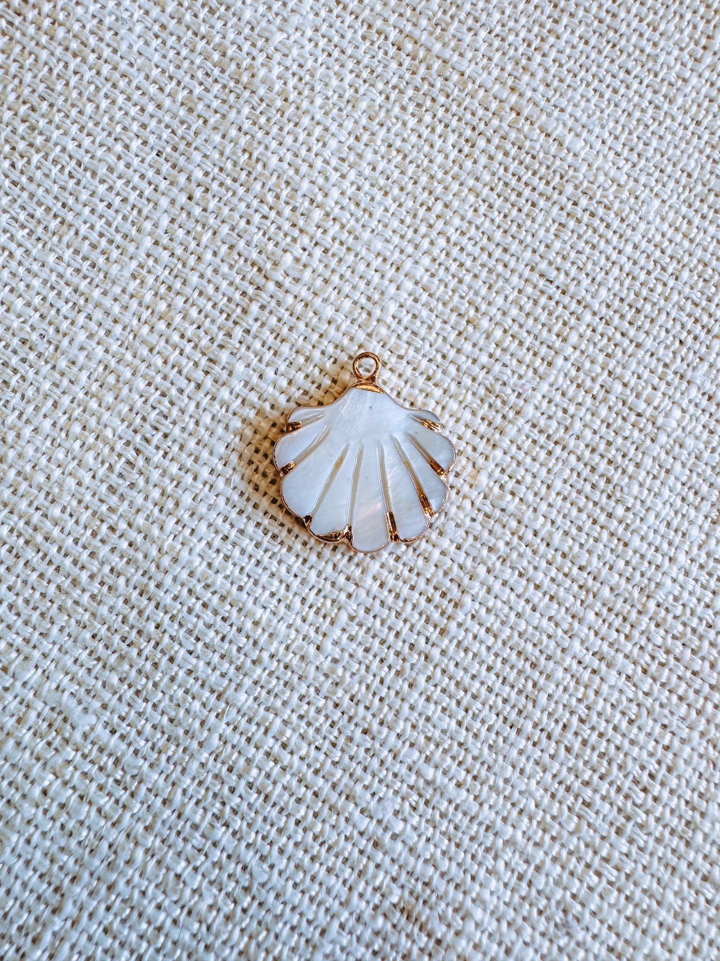 Scallop Shell Charm, Annapolis MD 