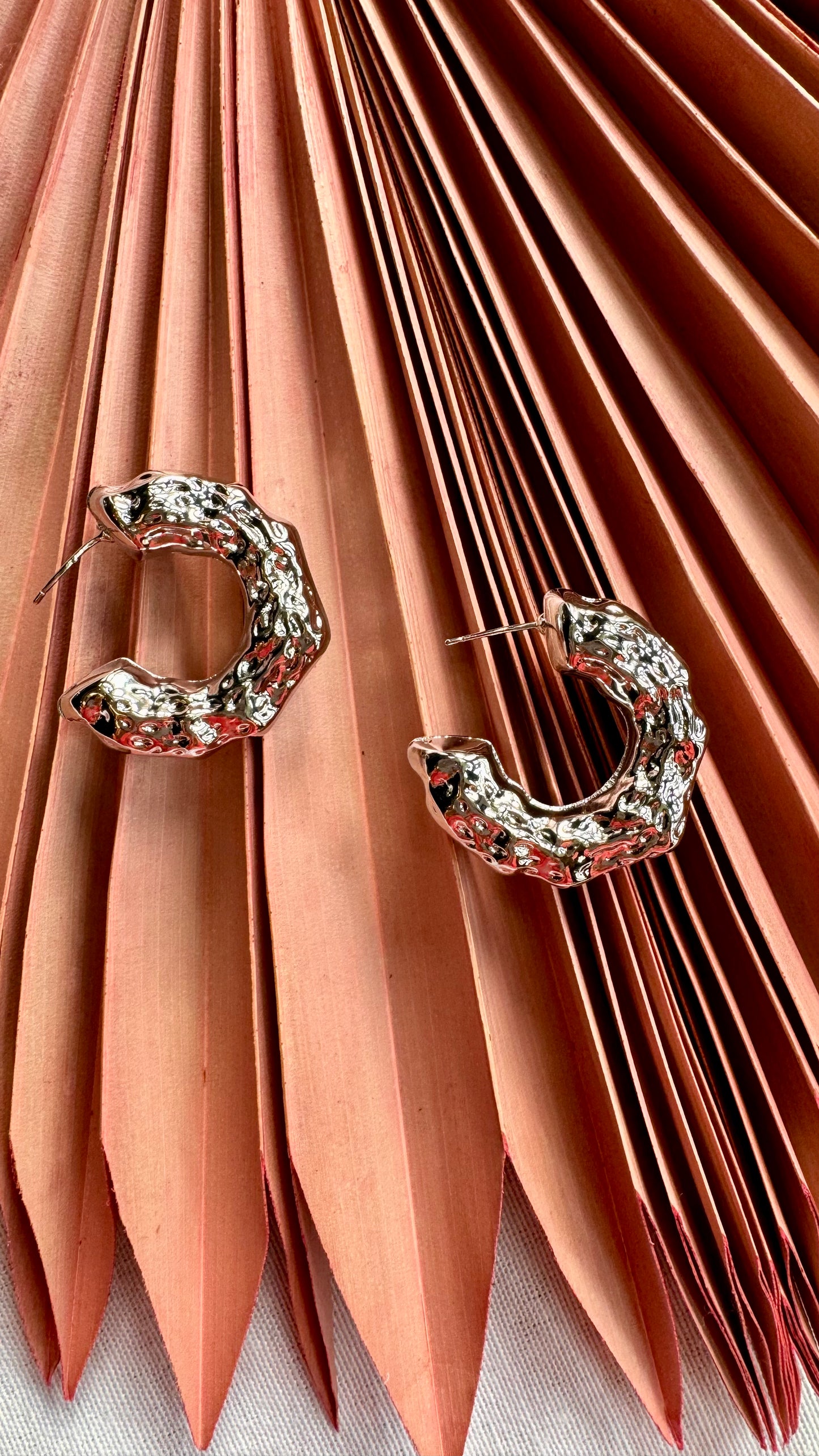 Karen Silver Hoops