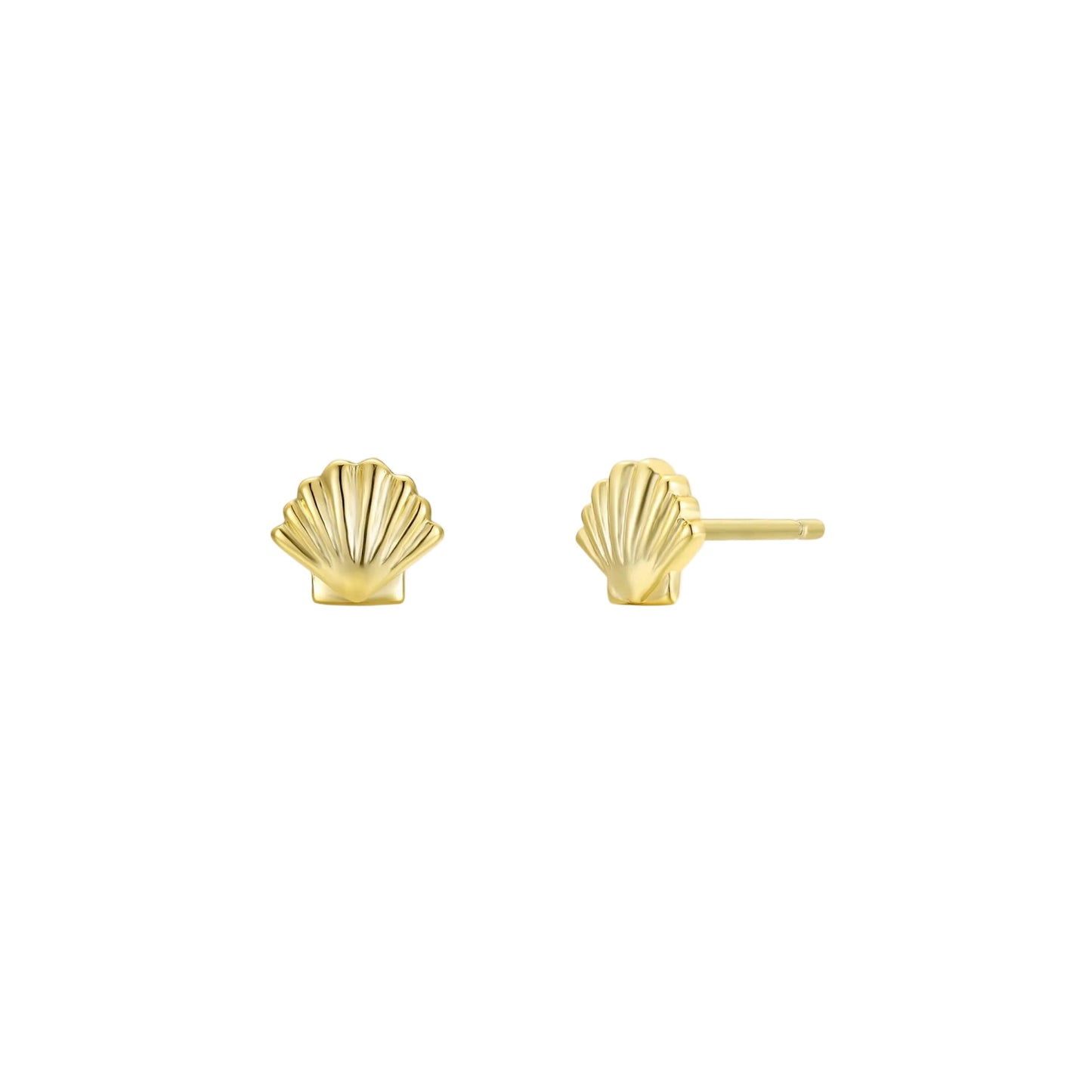 Gold shell-shaped earrings on a white background